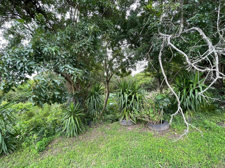 Commercial Property for Sale in Bathurst Eastern Cape